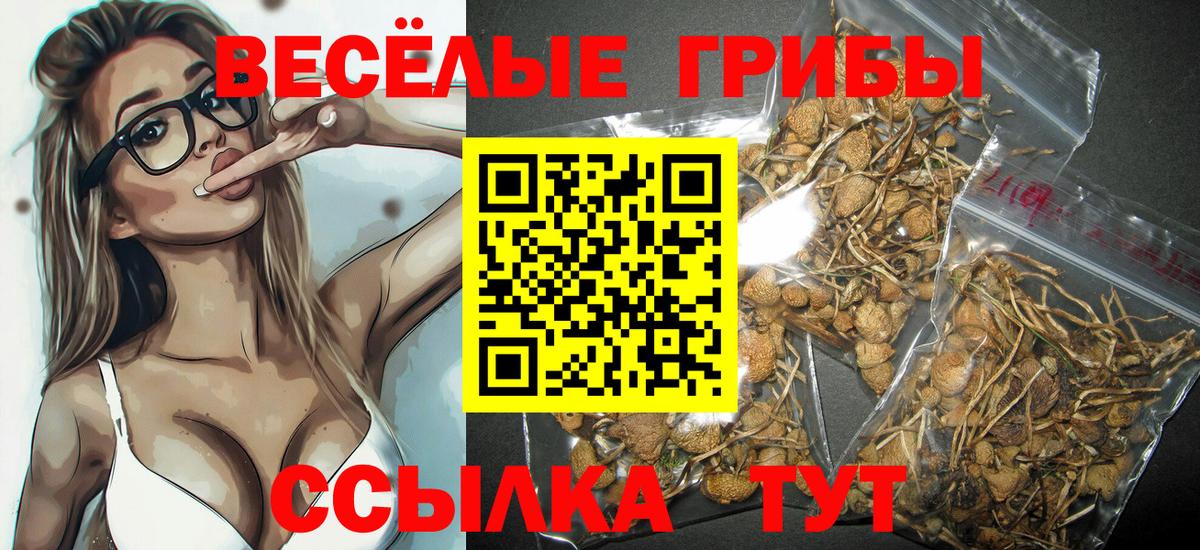 Галлюциногенные грибы Cubensis Чайковский