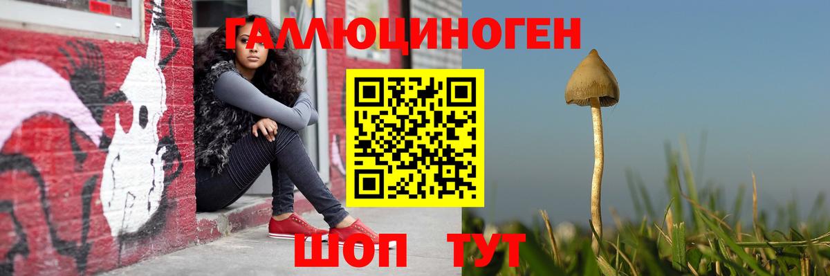 Чайковский  где можно купить   Вход с VPN  Псилоцибиновые грибы Cubensis 